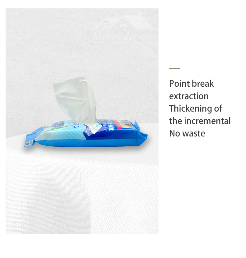 Wet Wipes Mint _12_